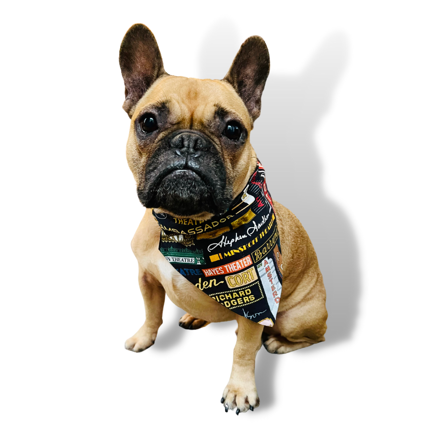 Broadway Marquees Doggy Bandana